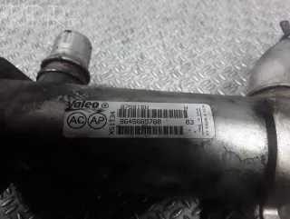 9645689780 , artDEV212393 Охладитель отработанных газов Peugeot 407 Арт DEV212393, вид 2