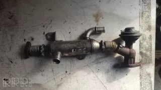 9627242880 , artPOR1376 Охладитель отработанных газов Peugeot 406 Арт POR1376, вид 1