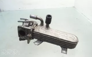 038131513ad, 3210275 , artARA156227 Охладитель отработанных газов Volkswagen Golf 5 Арт ARA156227, вид 1