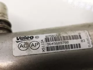 9645689780, 875816w , artFRC13527 Охладитель отработанных газов Peugeot 607 Арт FRC13527, вид 2
