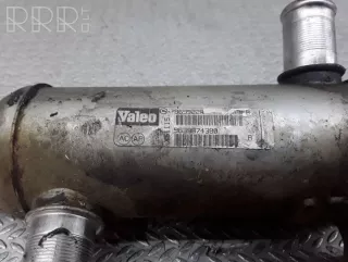 869922r, 9639874380 , artDEV138378 Охладитель отработанных газов Peugeot 307 Арт DEV138378, вид 1