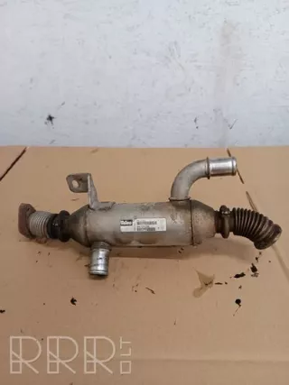 9627242880, 861059g , artBRZ167625 Охладитель отработанных газов Citroen Berlingo 1 restailing Арт BRZ167625, вид 1