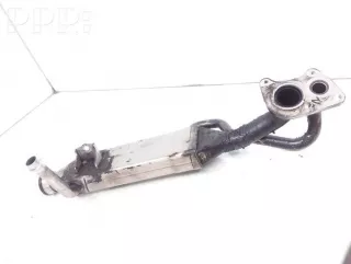 1642140077, 16421400775, 0910800007 , artARA196844 Охладитель отработанных газов Mercedes R W251 Арт ARA196844, вид 1