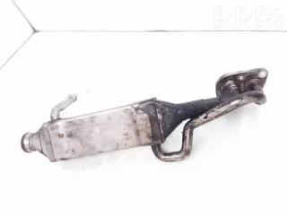 1642140077, 16421400775, 0910800007 , artARA196844 Охладитель отработанных газов Mercedes R W251 Арт ARA196844, вид 2