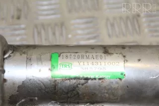 18720rmae01 , artRIM14154 Охладитель отработанных газов Honda CR-V 3 Арт RIM14154, вид 1