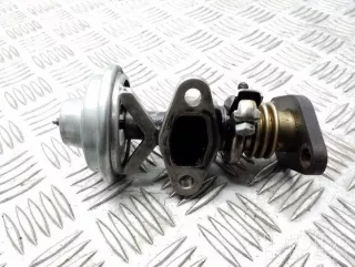 038131501 , artRAG36894 Клапан egr Volkswagen Bora Арт RAG36894, вид 1
