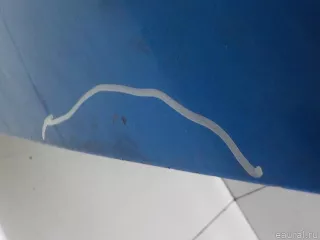 BPYK7302XE Дверь задняя левая Mazda 3 BK Арт E31049909, вид 7