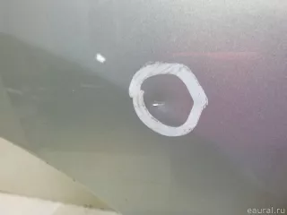 5N0833056A Дверь задняя правая Volkswagen Tiguan 1 Арт E60040616, вид 2