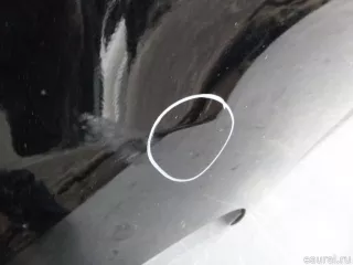 1687226 Дверь задняя правая Ford C-max 2 Арт E21279884, вид 2