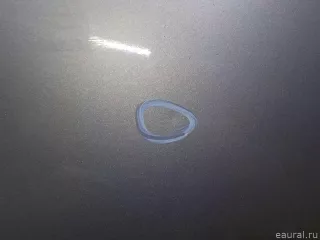 801008349R Дверь передняя правая Renault Scenic 3 Арт E84704457, вид 7