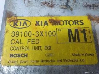 391003X100 Блок управления двигателем Kia Sportage 1 Арт E50521131, вид 3