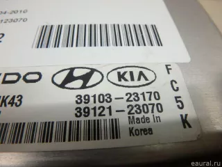 3912123070 Блок управления двигателем Kia Sportage 2 Арт E6951292, вид 2