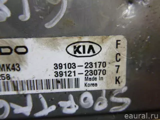 3912123070 Блок управления двигателем Kia Sportage 2 Арт E22490125, вид 4