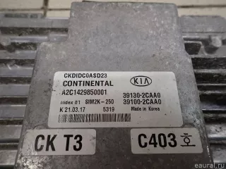 391002CAA5 Блок управления двигателем Kia Stinger Арт E95521120, вид 3