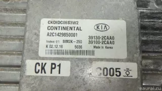 391002CAA5 Блок управления двигателем Kia Stinger Арт E70595958, вид 7
