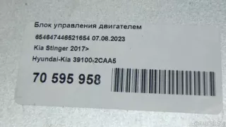 391002CAA5 Блок управления двигателем Kia Stinger Арт E70595958, вид 8