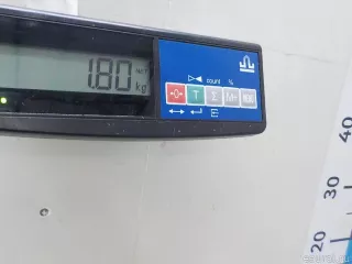 03L906022HM Блок управления двигателем Volkswagen Tiguan 1 Арт E52225583, вид 2