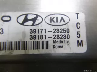 3918123230 Блок управления двигателем Hyundai Tucson 1 Арт E12485005, вид 2