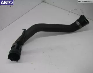 11531705224 Патрубок радиатора BMW 5 E39 Арт 54521470, вид 1