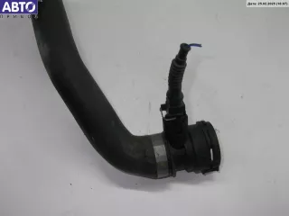11531705224 Патрубок радиатора BMW 5 E39 Арт 54521470, вид 2