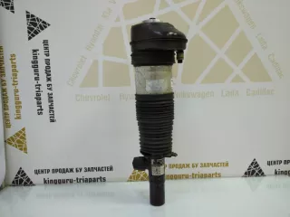 37106869036 Пневмоамортизатор подвески BMW X7 g07 Арт TP74443, вид 1