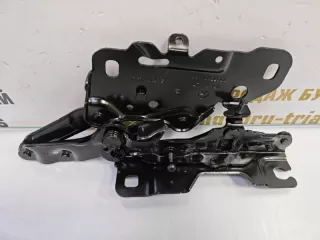 41617475792 Петля капота BMW X3 G01 Арт TP75602, вид 2