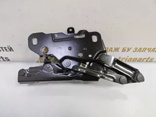 41617475792 Петля капота BMW X3 G01 Арт TP75602, вид 3