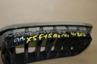 51137316061 Решетка радиатора левая BMW X5 F15 Арт ZAP38224, вид 3