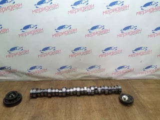  Распредвал DAF XF 106 Арт AV50937, вид 1