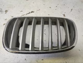 51317157687 Решетка радиатора BMW X5 E70 Арт lz211712, вид 1