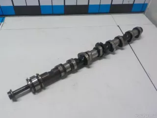 079109101EE VAG Распредвал впускной Volkswagen Touareg 1 Арт E51555528, вид 1