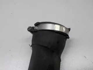 4F0145738N VAG Патрубок интеркулера Audi A6 C6 (S6,RS6) Арт E51601906, вид 7