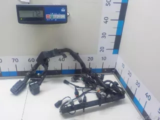 914001H030 Hyundai-Kia Проводка (коса) Kia Carnival 1 Арт E51763947, вид 1