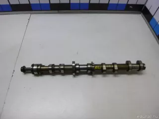 079109101EE VAG Распредвал Audi Q7 4L Арт E51839051, вид 3