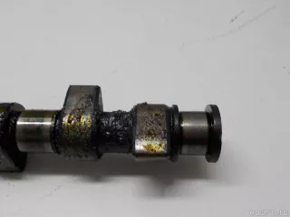 050109101A VAG Распредвал Seat Cordoba 1 Арт E51914065, вид 2