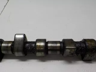 050109101A VAG Распредвал Seat Cordoba 1 Арт E51914065, вид 3
