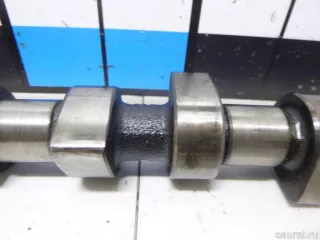 038109101K VAG Распредвал Seat Ibiza 2 Арт E5813116, вид 5