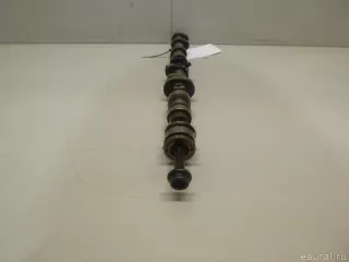 079109101EE VAG Распредвал Audi Q7 4L Арт E22278009, вид 3