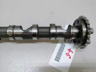 059109021EE VAG Распредвал Audi TT 2 Арт E22315501, вид 4