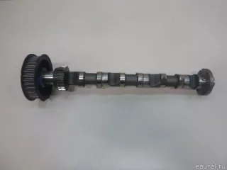 059109021EE VAG Распредвал впускной Volkswagen Phaeton Арт E22408352, вид 1