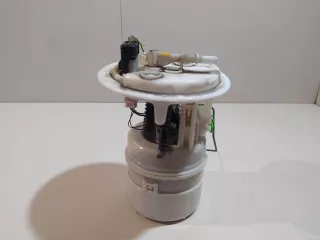 1525NR Citroen-Peugeot Насос топливный электрический Citroen C4 1 restailing Арт E23267706, вид 4