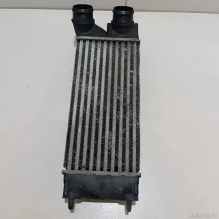 0384L4 Citroen-Peugeot Интеркулер Citroen C4 1 restailing Арт E23355403, вид 1