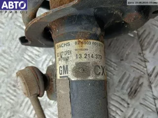  Пружина подвески передняя Opel Signum Арт 900653114, вид 6