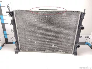 8200357536 Renault Радиатор основной Renault Megane 2 Арт E90319197, вид 1