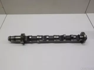 059109021EE VAG Распредвал Audi A4 B8 Арт E40956175, вид 1