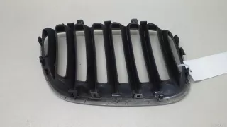 51137113733 BMW Решетка радиатора левая BMW X5 E53 Арт E21803156, вид 2