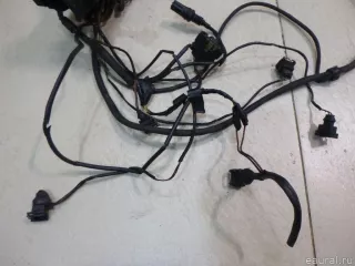 12511438902 BMW Проводка (коса) BMW X5 E53 Арт E60438690, вид 9