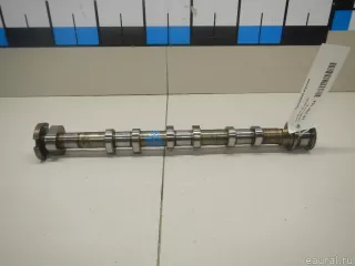 06E109101BC VAG Распредвал Audi A5 (S5,RS5) 1 Арт E70294754, вид 1