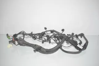 7811159, 8513414, 12518513414 , art10289824 Проводка двигателя BMW X3 F25 Арт 10289824, вид 1