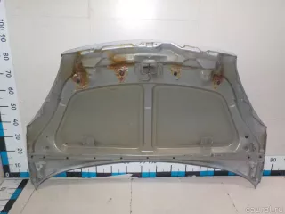 7901H4 Citroen-Peugeot Капот Citroen Xsara Picasso Арт E52117016, вид 3